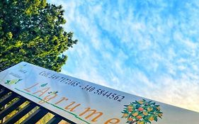 B&B L'Agrumeto